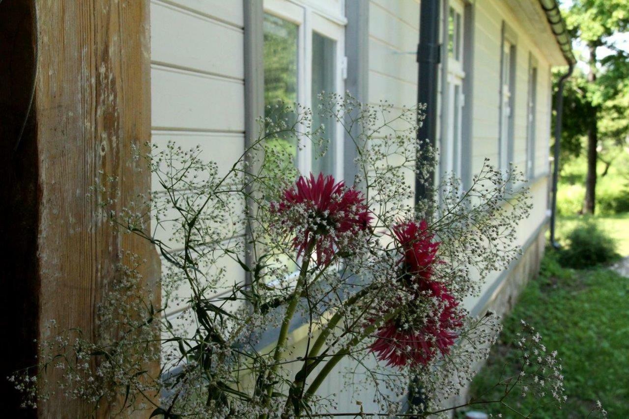 Meke Hotel Mustkalni Buitenkant foto